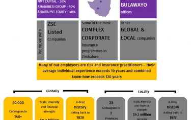 Why WFDR Risk Services?